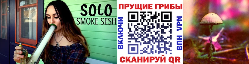 Галлюциногенные грибы MAGIC MUSHROOMS Елец